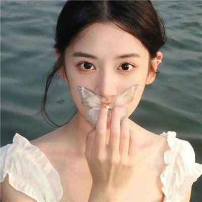 野狗们
