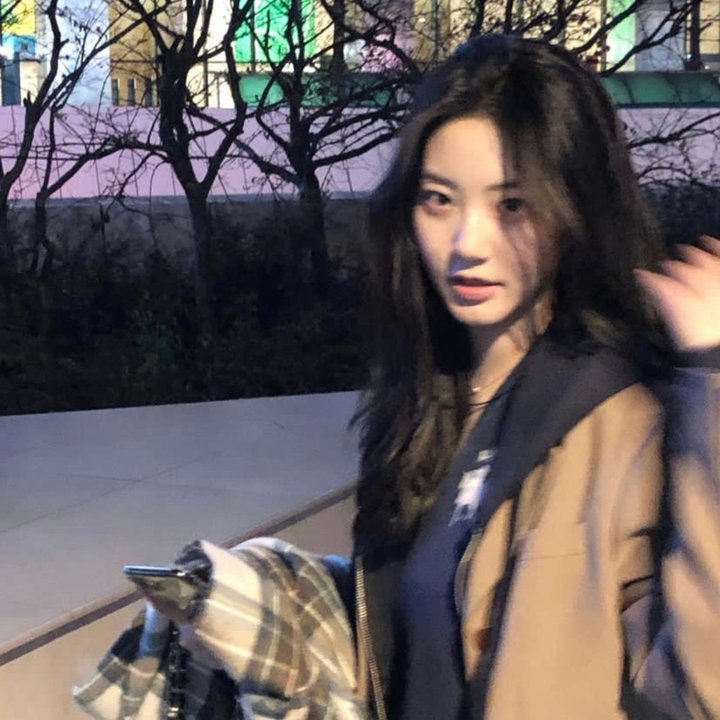 火鸟的沼泽